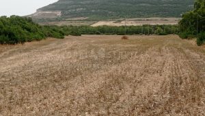 Vasto terreno a Guardia Grande