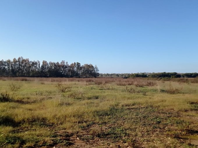 Terreno agricolo a Sa Segada